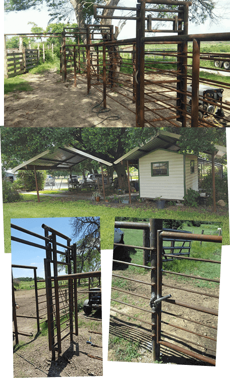 Custom Built Cattle Pens